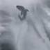 'This is just really sick': Video of boat dragging a shark triggers ...