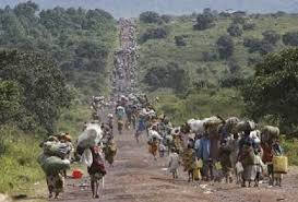 Image result for boko haram