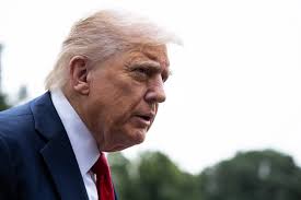 Politico - News update