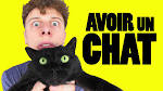 Norman avoir un chat 