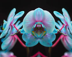 Image of graphic design example of high contrast