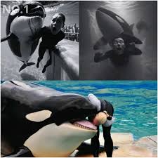 He live GOD@k (@kakawoyihun)'s videos with original sound - Kaija e40 | TikTok