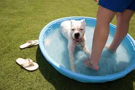 D-FW under extreme heat warning Tuesday amid blazing temps