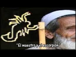 external image images?q=tbn:ANd9GcR7V5pB6nFgtXE4LqVuBqYe0eG_W3AhK9uD1BSS4MzfR8EWgD5T