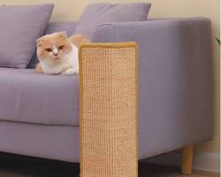 cat scratching post protectorの画像