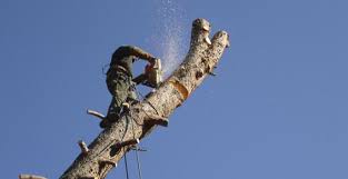 Résultat de recherche d'images pour 