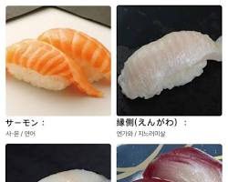 다양한 연어초밥 종류