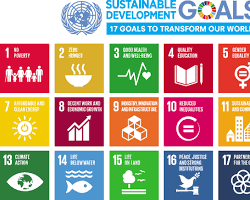 United Nations Sustainable Development Goals