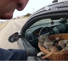 Image related to TikTok