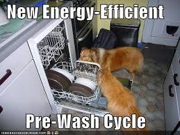 Efficiency is the Enemy of Humanity.