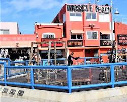Image of Venice Beach Muscle Beach