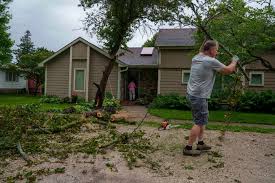 See tree damage across Des Moines metro following severe thunderstorms