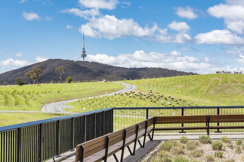 Plasterer in Molonglo 2611, AU