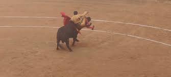 Morante de la Puebla en Pontevedra