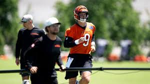 Cincinnati Bengals' NFL training camp focus? Just football | Williams