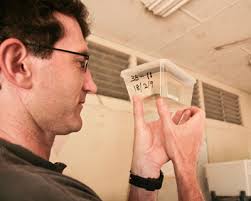 Dr Michael Crossland eye-to-eye with one of his beloved tadpoles (photo by Terri Shine). First, the poisoning risk. We worked with Mattias Hagman (an ... - Michael-and-tadpole