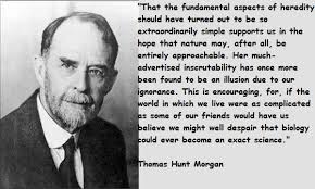 Thomas Hunt Morgan&#39;s quotes, famous and not much - QuotationOf . COM via Relatably.com