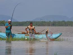 Sri Lankan Villagers Adapt to Snakehead Fish Invasion