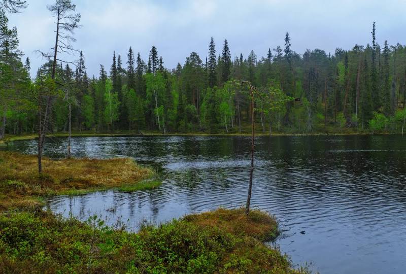 Oulanka National Park