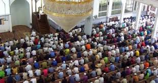 اليوم السابع - News update
