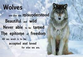 Wolf Images And Quotes | imagebasket.net via Relatably.com