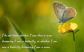 Butterfly Image Quotes And Sayings - Page 1 via Relatably.com