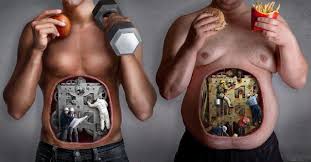 Image result for healthy vs sick