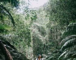 man hiking near a waterfall in Okinawaの画像