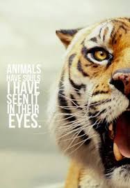 Movie Quote - Life of Pi | Movie Quotes | Pinterest | Life Of Pi ... via Relatably.com