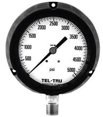 Pressure Gauge, 1/2% Safety Case | Tel-Tru