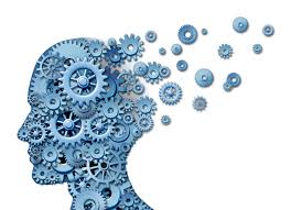 Image result for brain