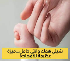 يمن برس - News update