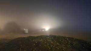 News source: Khaleej Times