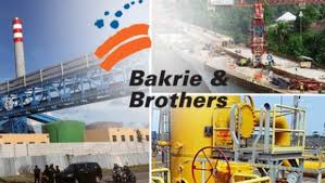 Image result for PT Bakrie & Brothers Tbk