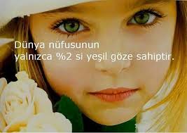 ilginç bilgiler ile ilgili görsel sonucu