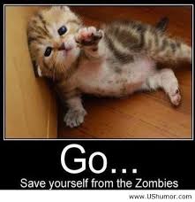 Image result for funny animal pictures