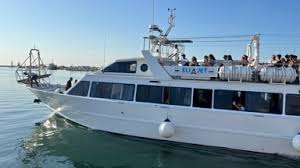 Trend Google: isole tremiti