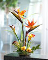 Artificial tropical flowers Ajman