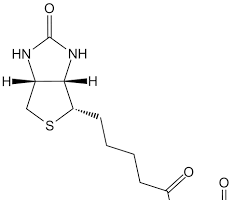 Image of NHSBiotin structure