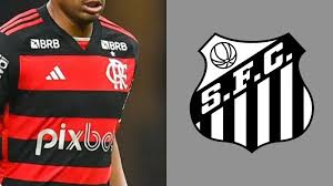 Santos FC quer tirar atacante do Flamengo