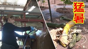 Yahoo!ニュース - News update