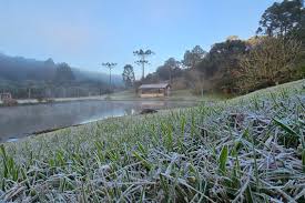 Paraná tem amanhecer com geada e frio abaixo de 5 ºC antes da volta da chuva; veja a previsão