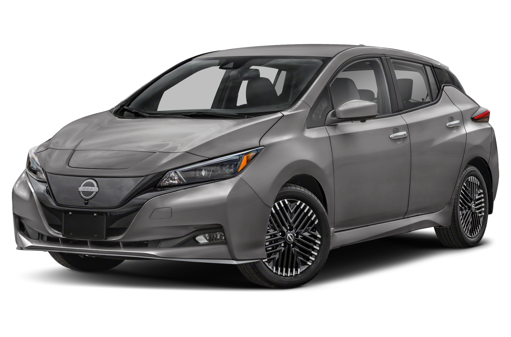 2025 Leaf