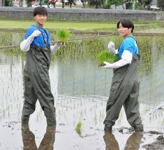 Yokohama FC: Locally Grown Rice Funds Player Development in Innovative Initiative - Imagen principal del artículo