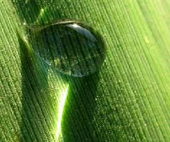 Resultat d'imatges de imatges projectes