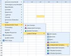 Image of Performing the MannWhitney U test using SPSS software