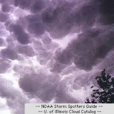 Image result for Mammatus cloud