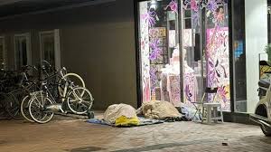 Drukte bij hotel in Hurdegaryp voor koningspaar • Utrecht: kom niet meer naar de binnenstad