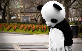 Résultat de recherche d'images pour "sad panda"