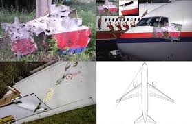 Image result for mh17 wings